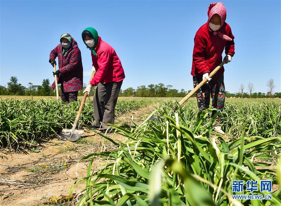 (新华全媒头条·图文互动)(17)从人民中汲取磅礴力量——习近平总书记同出席2020年全国两会人大代表、政协委员共商国是纪实